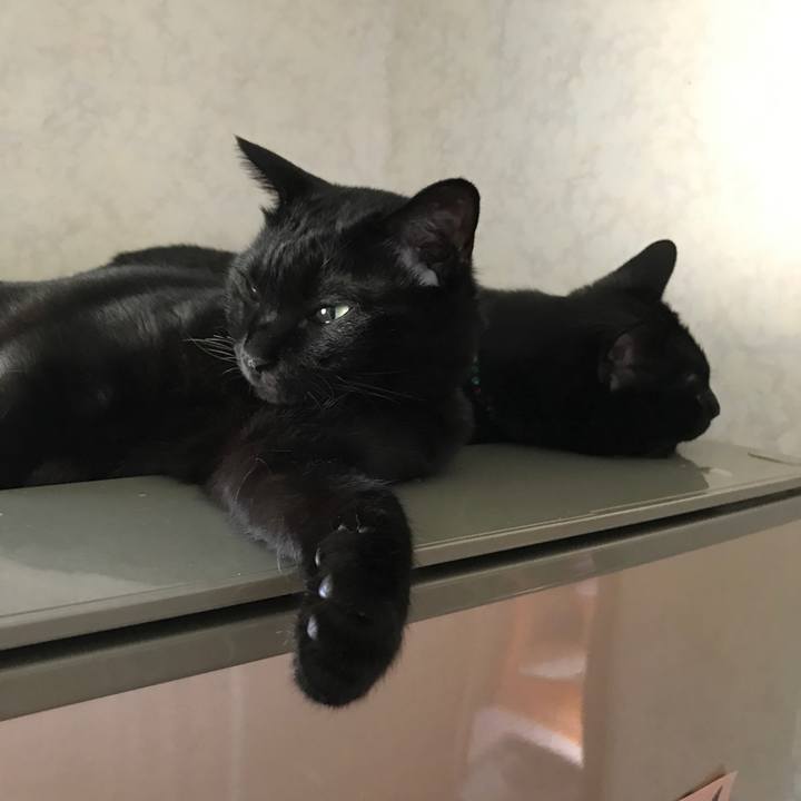 3527568e 7bc9 4df0 b1ee 7fe65fecf341