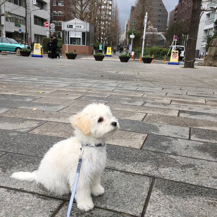 3527762f 7c92 46a1 b15f 84ed663c69bc