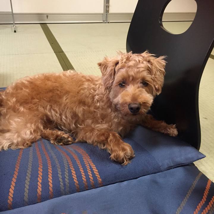 35280b1a cbf4 48ce 853c 8dcf1a2afbd0