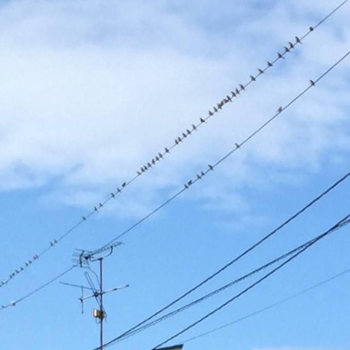 35286106 2529 4475 aa07 4714213d1173