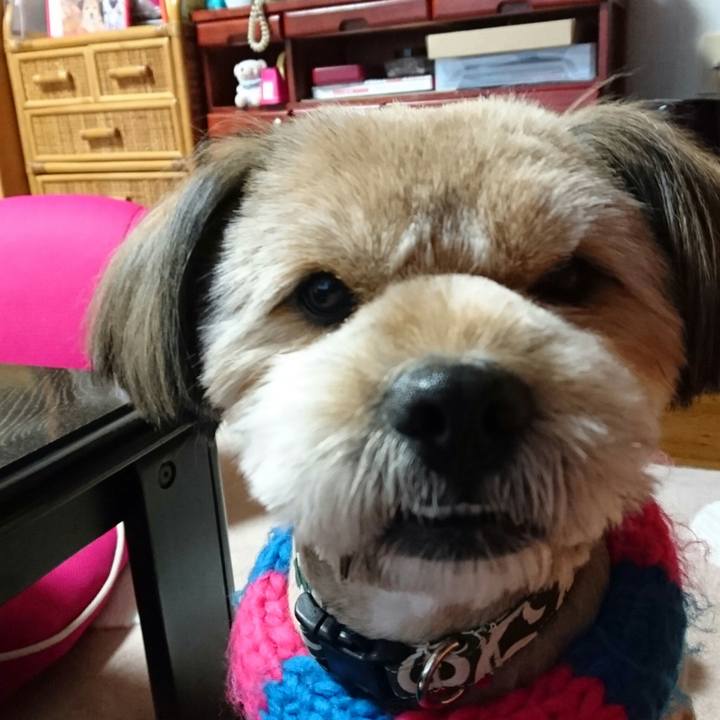 352914c3 c5d2 4ca0 9ed9 7dad07791c1c