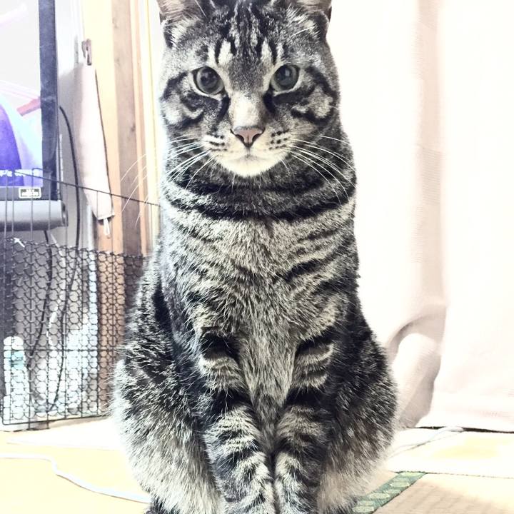 3529b171 5aac 4072 a0eb 1d6b585ef702