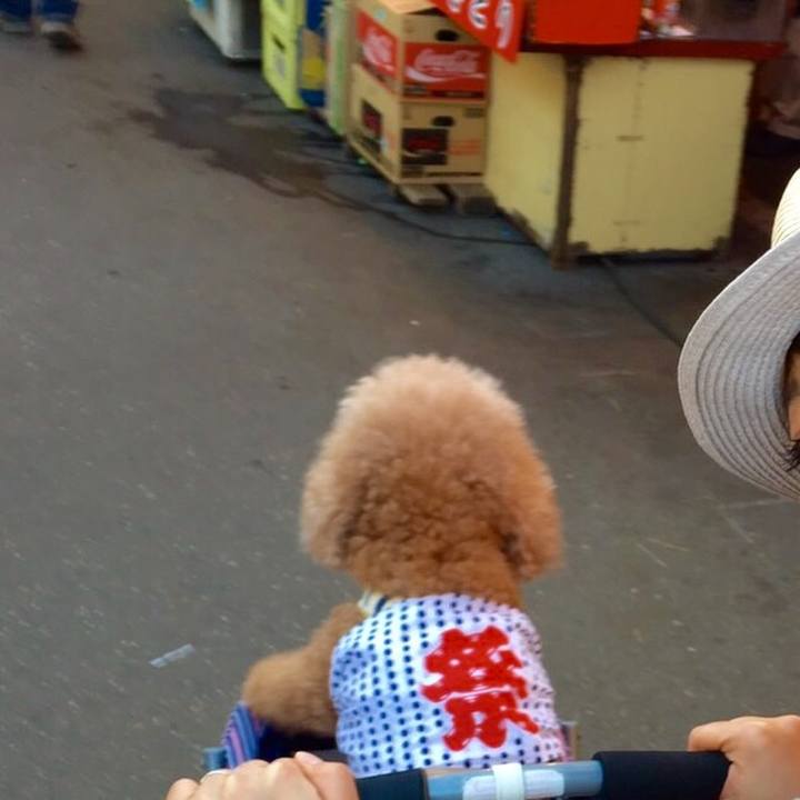 3529ca19 5399 4350 8084 4c18300bc008