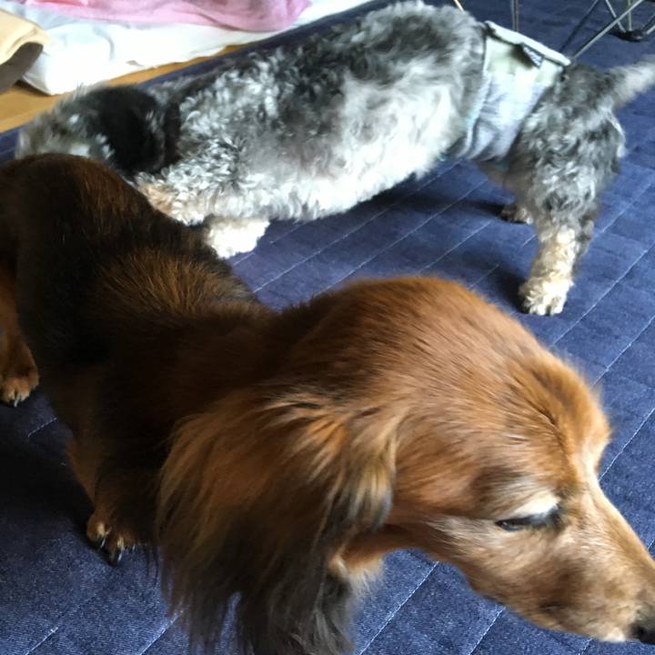 352a081c be9b 460a b3e9 ac88612b6bb6