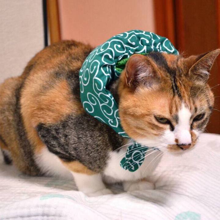 352aa760 2f93 436d 9d46 a5800897ce4f