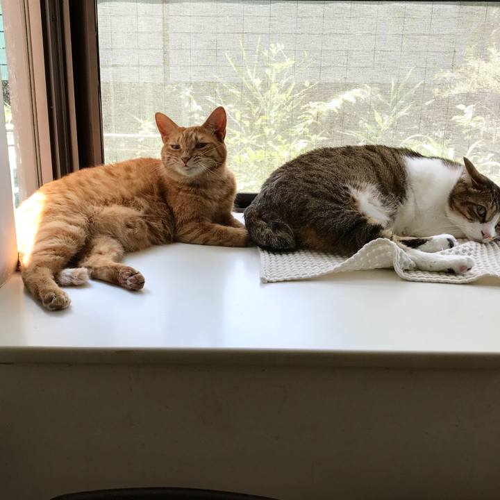 352ad37e 531b 4005 b789 4186af692756