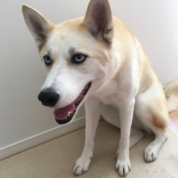 352b338b f7ab 472f adc0 de863d156d27