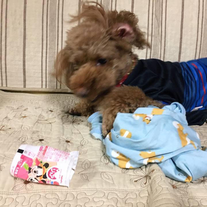 352b4a8c 37c4 4bb2 aa3b 7ec782e3e8cc