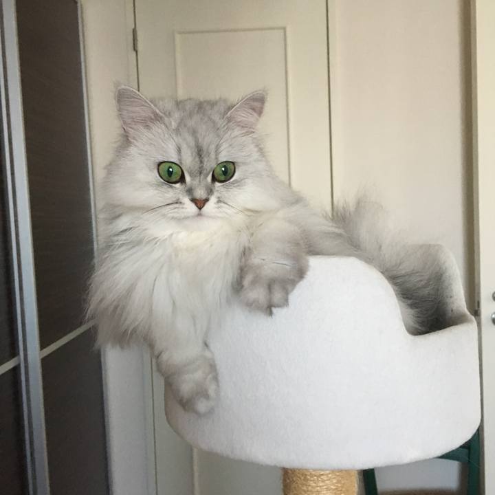 352bf082 18a0 4c00 80c2 ddb2c7ec0eeb