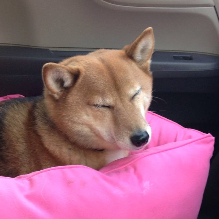 352c0035 6592 4e43 9756 cc8d4a67ae42