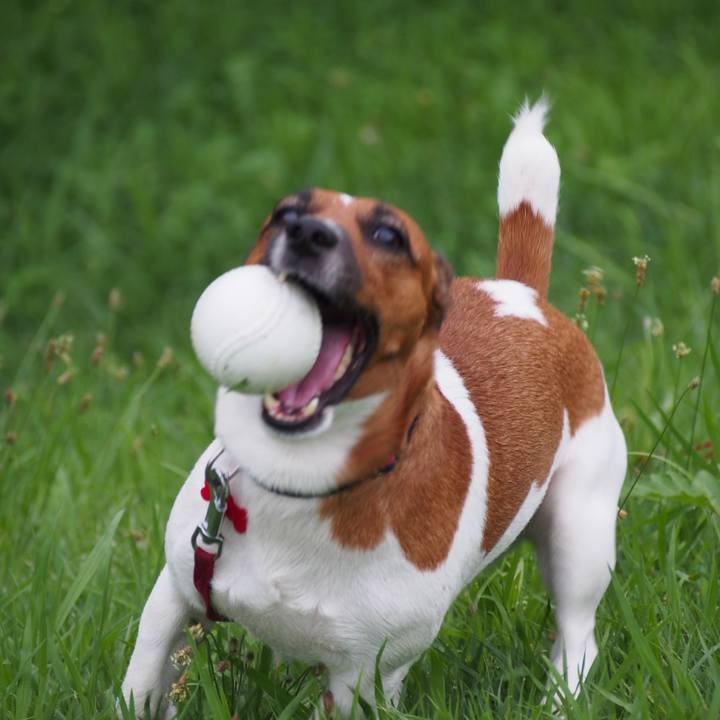 352c17ab f03f 4051 a6c3 9c79a02d4094