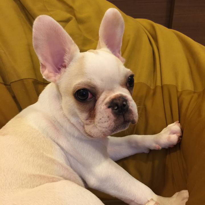 352c73d6 dcc1 4fd2 ac57 788781f31550