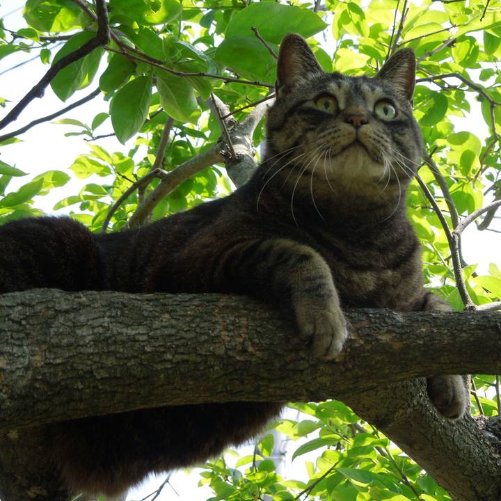 352c9003 1276 4232 aef8 05a7bbe04044