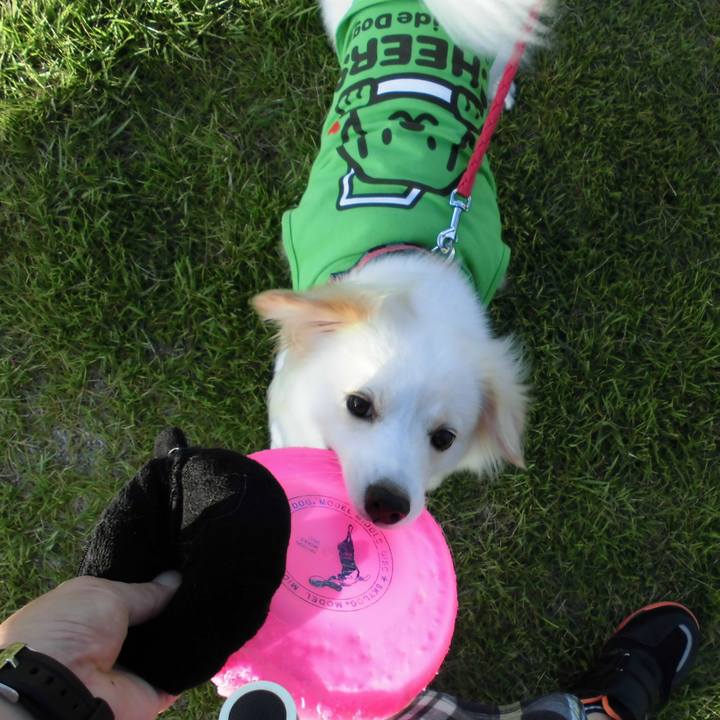 352d2efe 901e 4249 9e87 841cb580512e