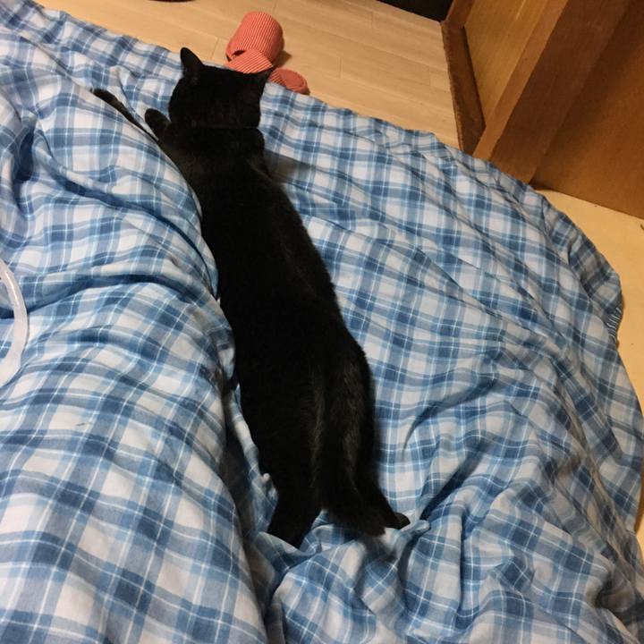 352d4dfb 3414 4484 a6e3 e79b809e8d3d