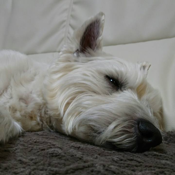 352d5a17 a2df 42e2 90ae 4c598abe035f