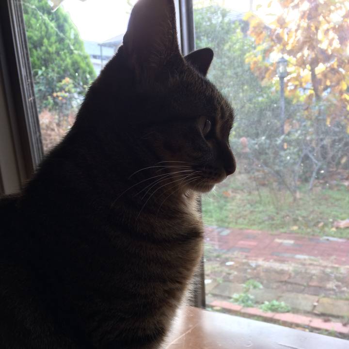 352d8d79 626c 4f11 b1a8 f67636d238b8