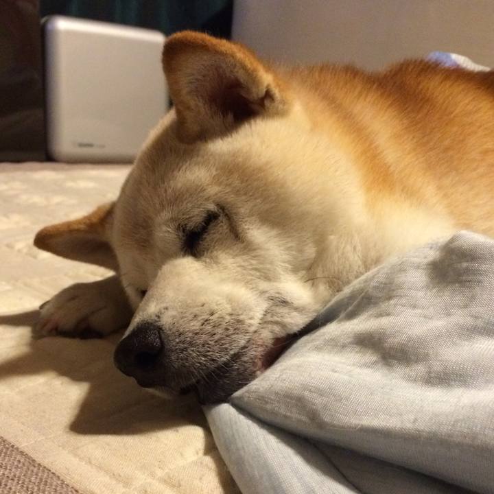 352db66d e38f 4c62 a718 07a9c8dc8148