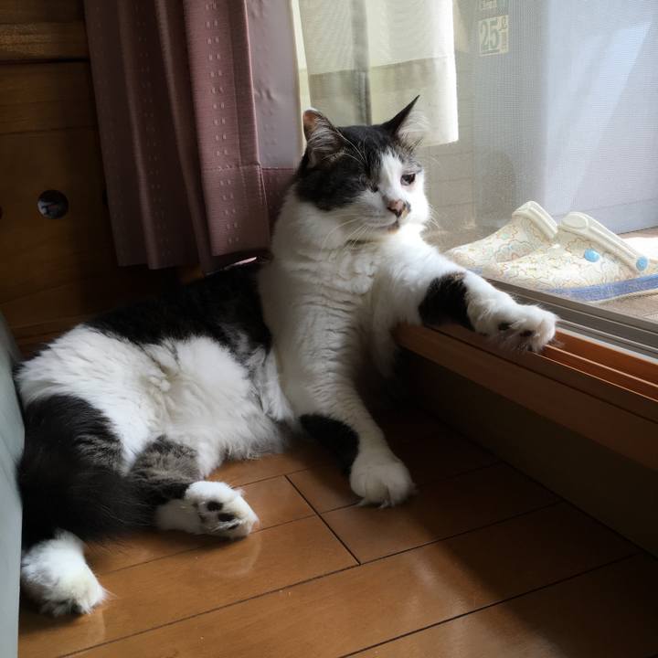 352dd58f 30e0 4594 8160 f68ed201a899