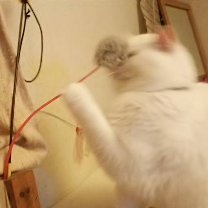 352de6bc 2a2d 4890 a4d1 b59aafa7a425