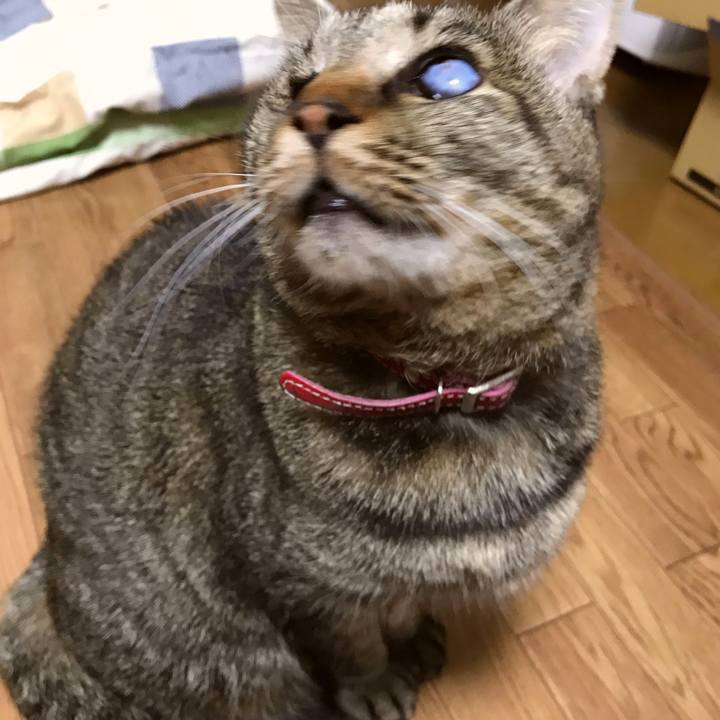 352e3939 e782 450a 8da0 3671acd0c4f6