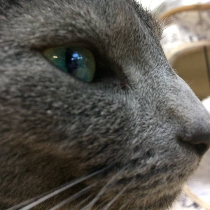 352f217f fac6 4a96 8ab0 a7e5416e4707