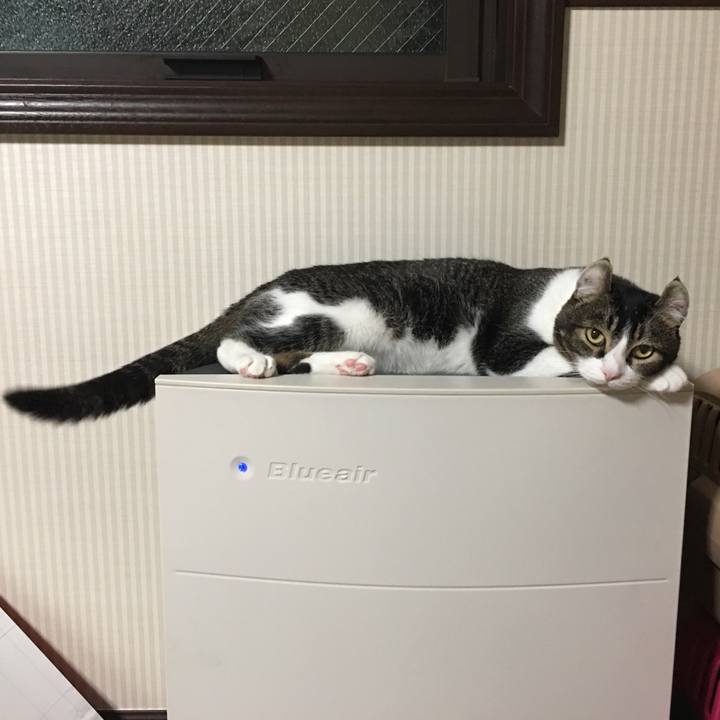 352f5714 276c 4707 99a6 6a539af0b976