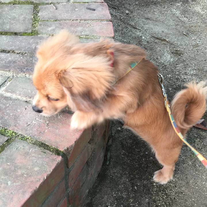 352fc311 85df 45b6 8d93 e2f27ba37016