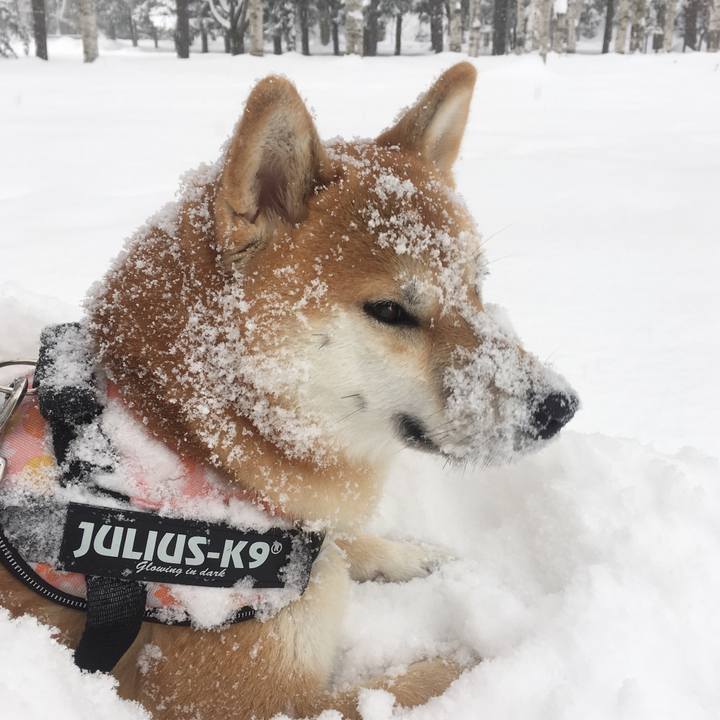 352fd681 48df 497e 91aa 7005a6dd793a