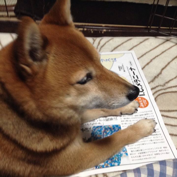 352fd875 27fa 4fae 8a24 f8d3c5beced8