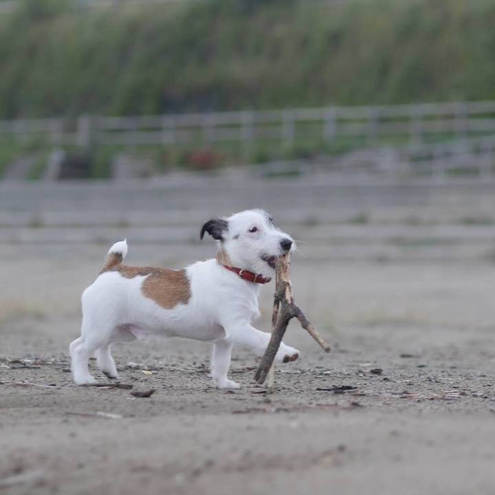 35300a1a f7a3 4213 a3cd 6ae9377a14e9