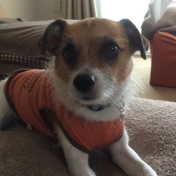 353044d1 c712 41df 851f 5469e91a69e0