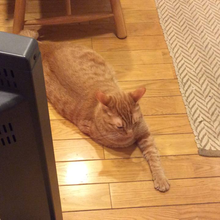 35306376 7f5c 4e3d a67c d9334d37eaf5