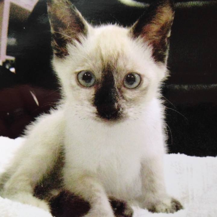 35307531 07c4 43cf bd95 8e9608e556b4