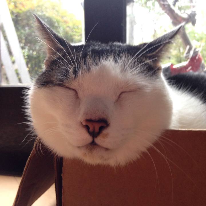 3530a650 c390 4754 a5ec 8158d6c1d21f