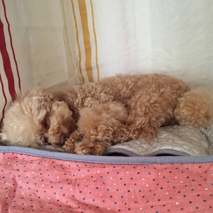 3531b6cc 9584 4346 9d26 6c5436eccdff