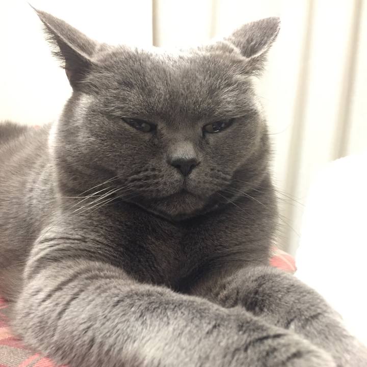 3531e913 0388 4308 a6b5 48231593a12c