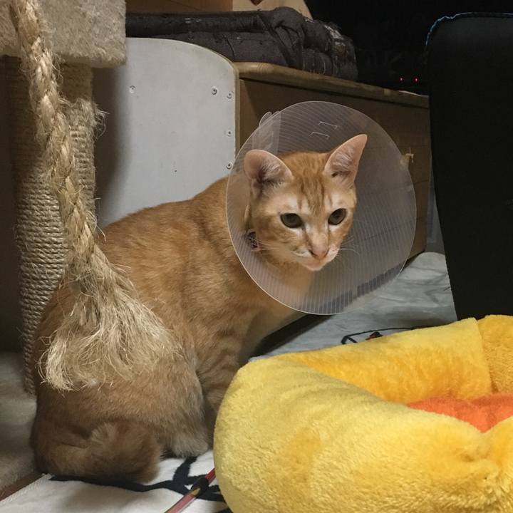 3532087e 94b8 4a84 8c9c 4ad54aad689e