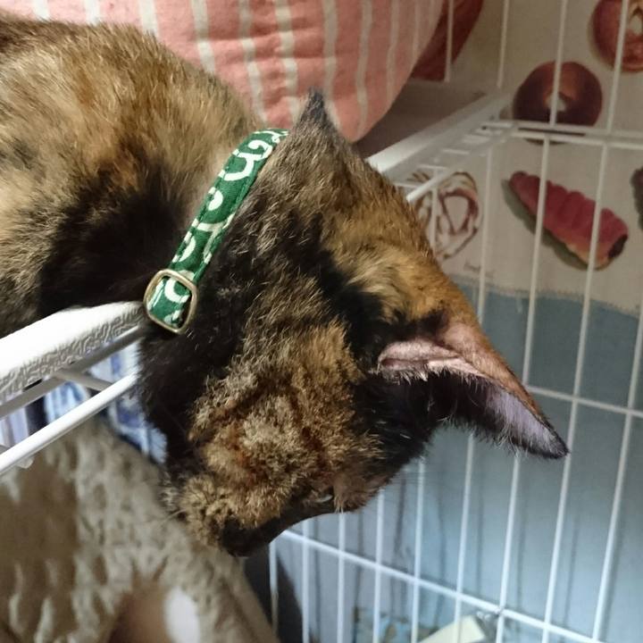 3532d5fe d54e 4305 a72f 535e06794d78