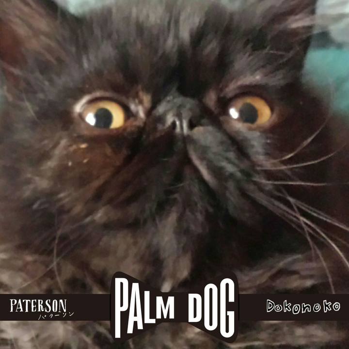 353305d9 3074 4ec0 9d8c 9053db309d2a