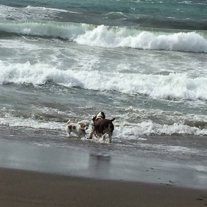 35341f5c bc3d 4ed0 b761 8ff5f8ee56b8