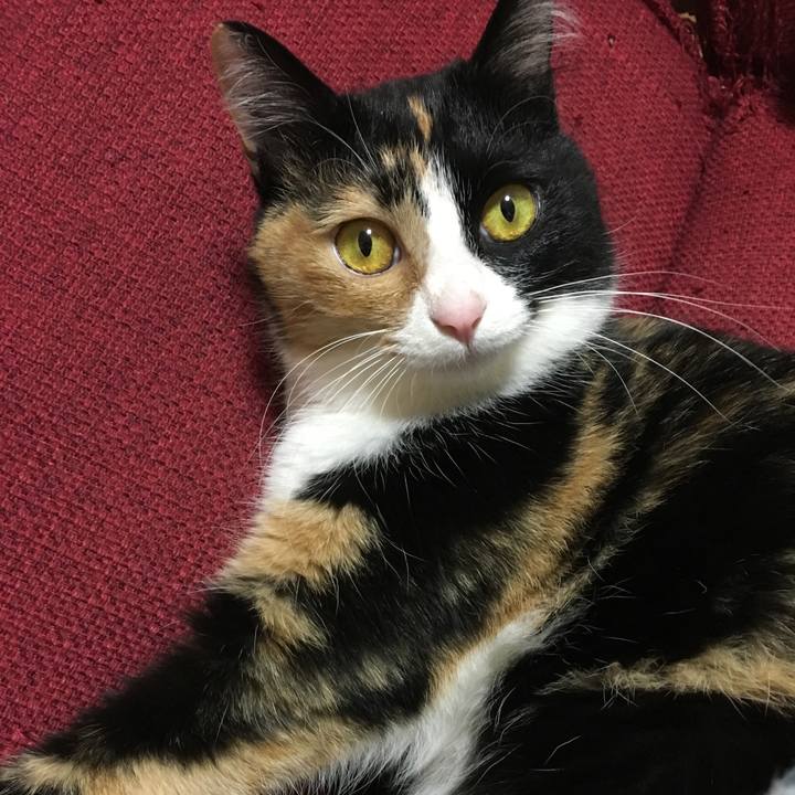 35348b24 b48e 44b4 9b09 21d681905d15