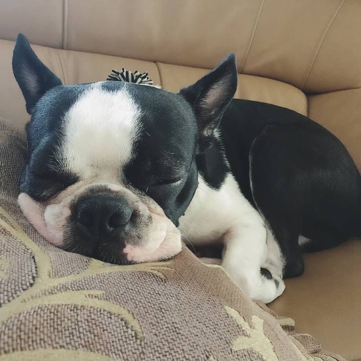 35352aa2 97e0 4c00 a09a c508a49ec372