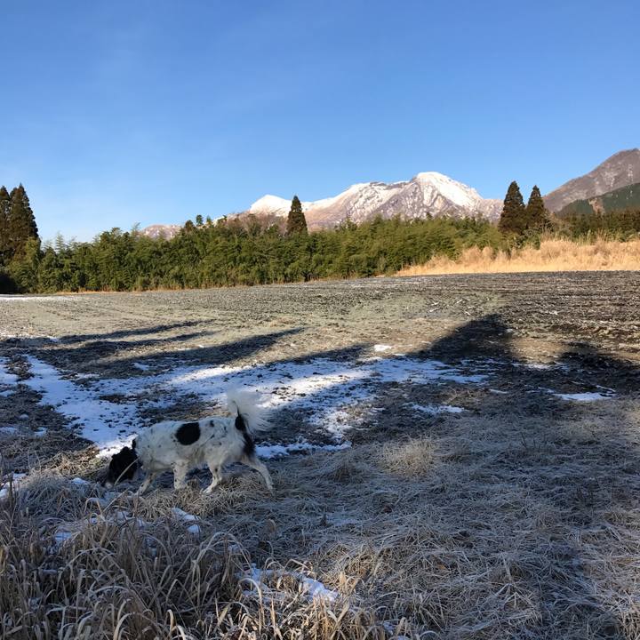 35358b23 cc61 44f5 9723 27bfef55387c