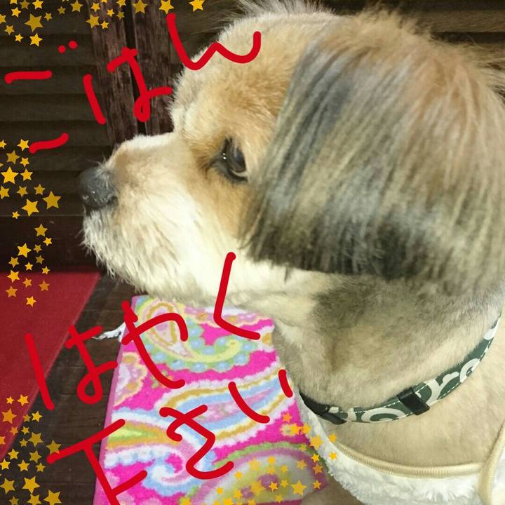 35360753 c7af 4c8b 83ad 3aef45e56d2d