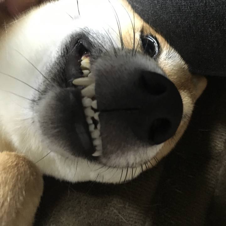 35361a64 64d5 4d4f b47c 45361444ed74