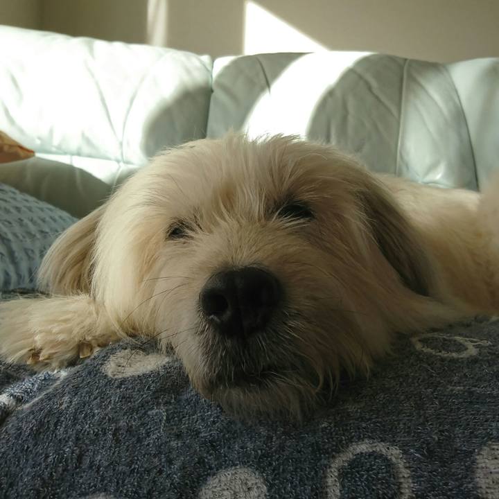 3536caf0 3add 49e5 8001 8faf3596771d