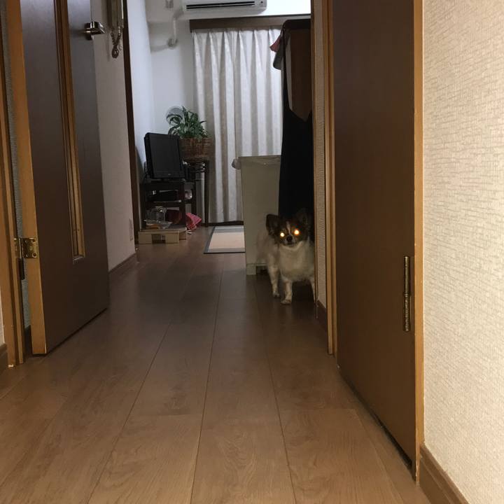 3536e72a 3a35 4e5a 88b0 809be660f3b4