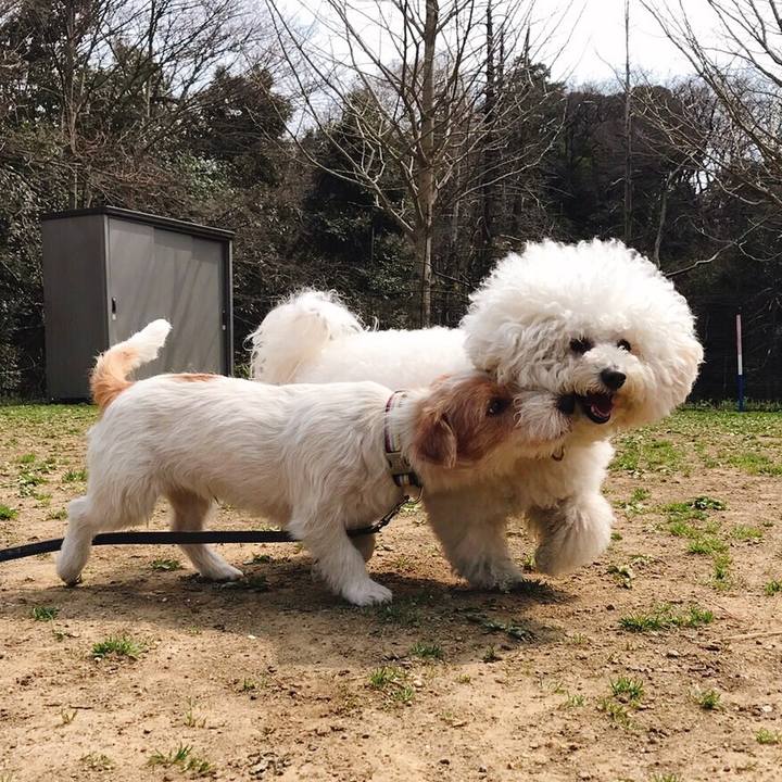 353741f7 ec14 4807 940c f60c3bc43d6c