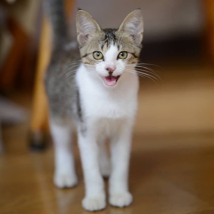 35374cbb 0350 4882 81a6 a8a05b2f4ddb